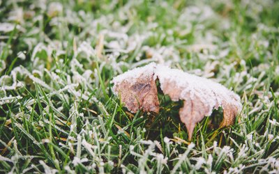 霜降｜ 秋將逝，冬將至