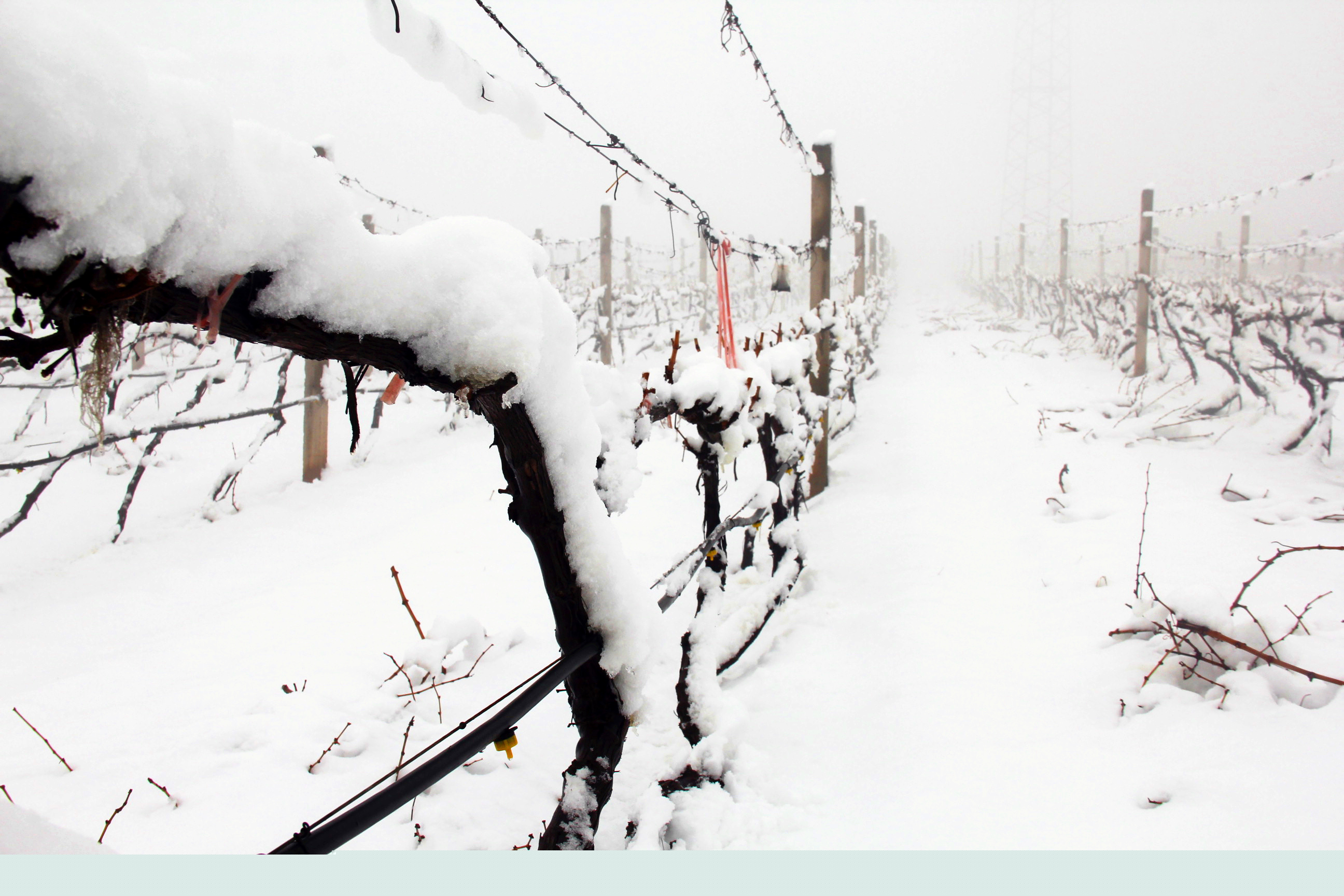 瑞雪兆豐年 ▎時光正好，歲月極美，何必覓遠方