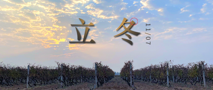 立冬 ▎四時有序，天地歸藏