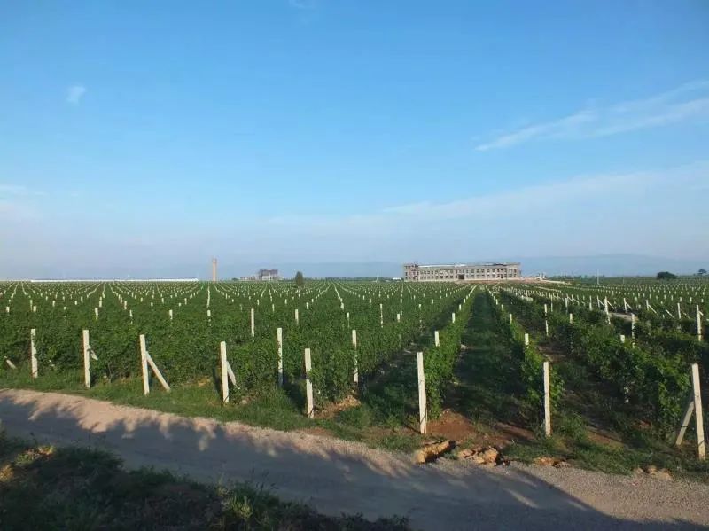 格瑞特莊園春季踏青游，一場微醺的春日盛宴等你來！